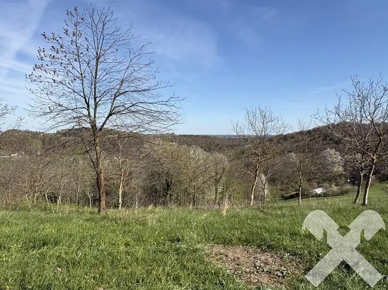 Landwirtschaftliche Fläche mit kleinem Wald nähe Bad Loipersdorf