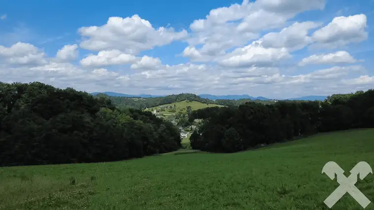 Landwirtschaftliche Nutzfläche (ca. 4,5ha) mit Waldanteilen und kleinem Gewässer
