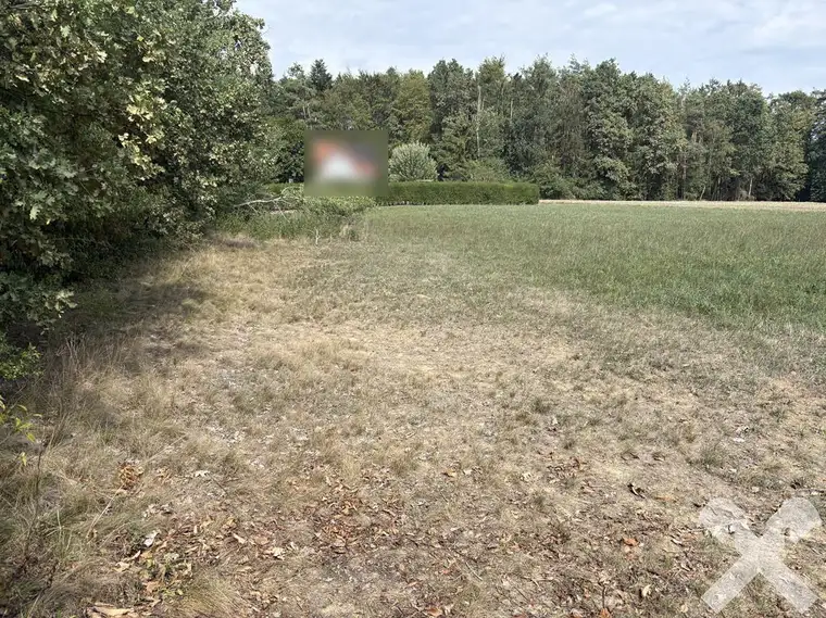 Ihr Bauplatz für die Zukunft - sonnige Lage in Schulnähe!
