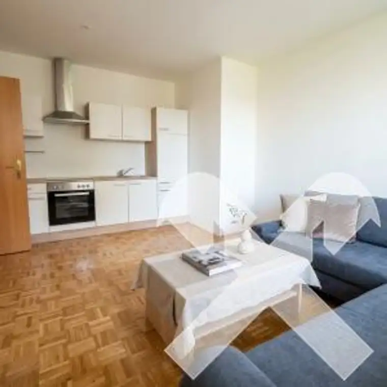 Anlegerwohnung mit bestehendem Mietverhältnis in St.Barbara im Mürztal, Ortsteil Wartberg
