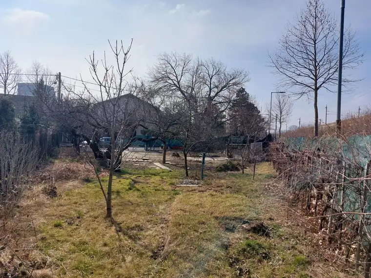 SELTENE RARITÄT - Gartengrundstück mit Obstbäumen und Weinreben (KEIN BAUGRUND) in Baden