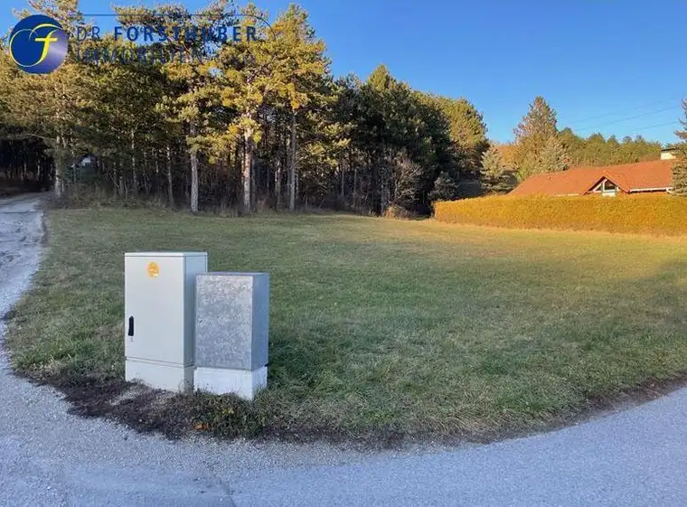 BAUGRUND MIT 683 m² IN IDYLLISCHER GRÜNRUHELAGE VON BERNDORF