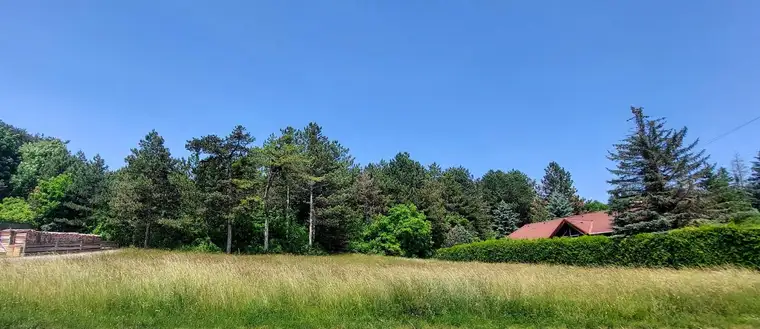 BAUGRUND MIT 678 m² IN IDYLLISCHER GRÜNRUHELAGE VON BERNDORF