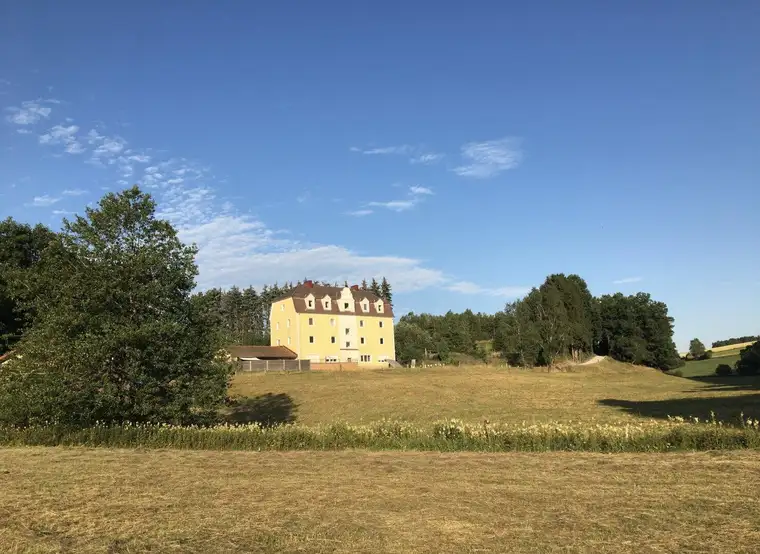 Ehemaliges Zollhaus - Mehrfamilienhaus mit separatem Stall in Alleinlage oberhalb von Linz in Oberösterreich - für Tierhaltung, Reiterhof etc.
