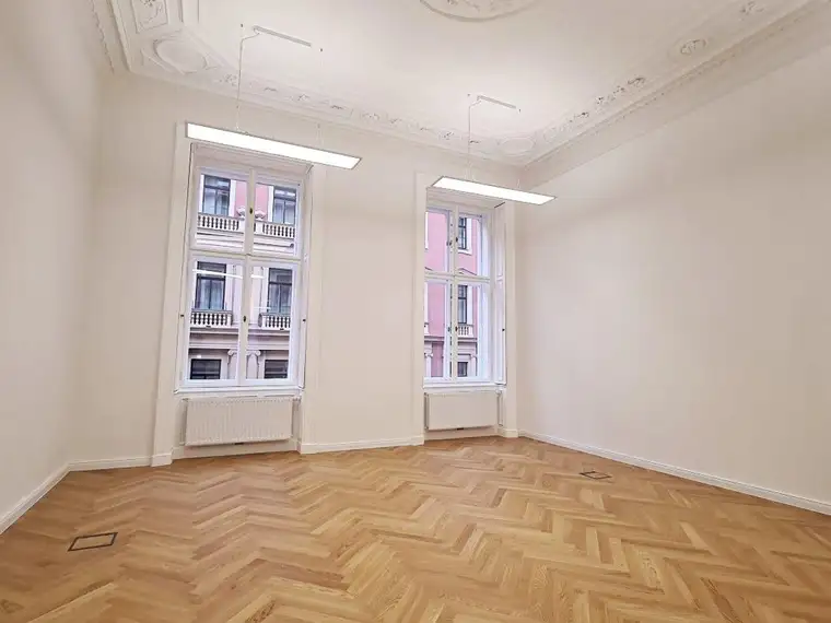 TOPLAGE, BÖRSE-NÄHE, representatives 158 m2 Altbaubüro, 4 Zimmer, Serverraum, Klimaanlagen, 2. Liftstock, Zelinkagasse