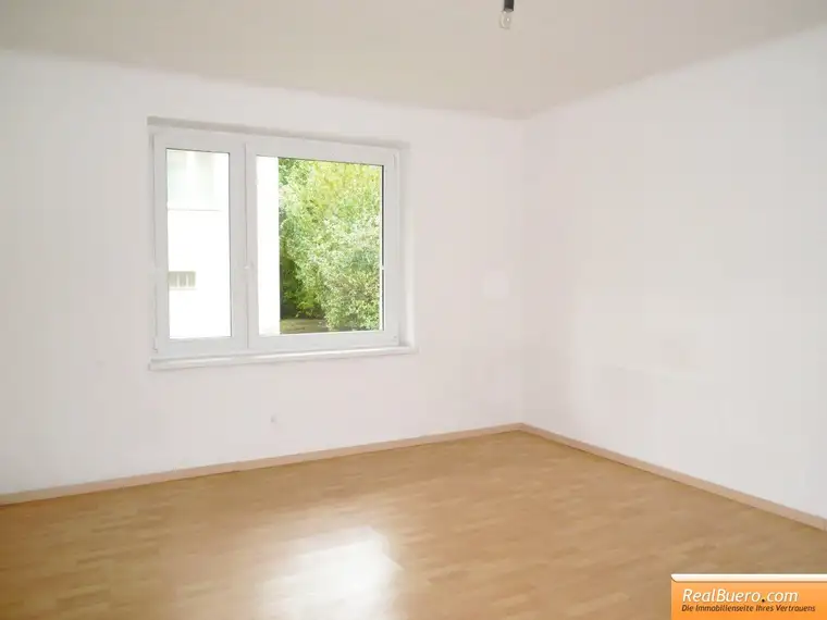 Eduard Letz, Realbüro Sabine Steinecker