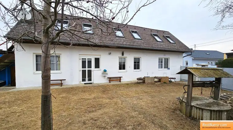 Sabine Steinecker, Realbüro Sabine Steinecker