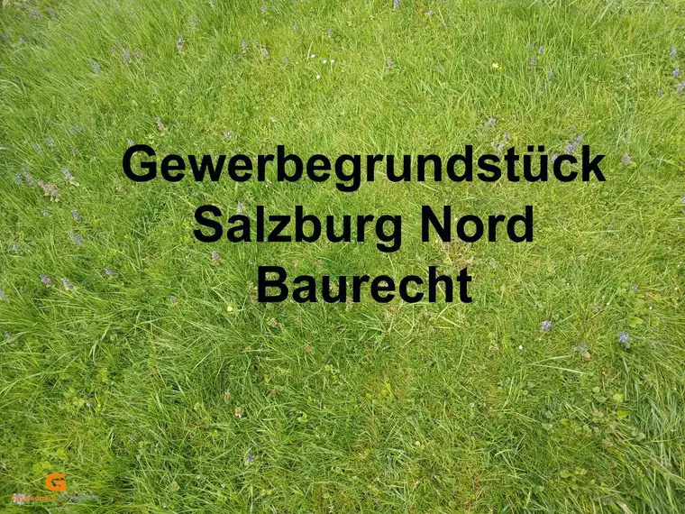 Baurecht Gewerbegrund Salzburg Nord