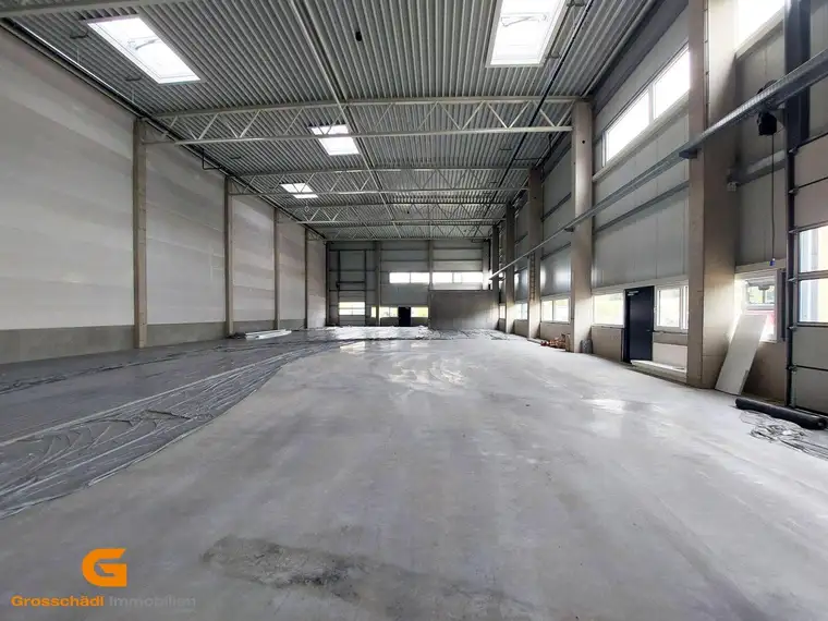 Gewerbepark Neu: Halle / Lager / Produktion Salzburg Umgebung mieten