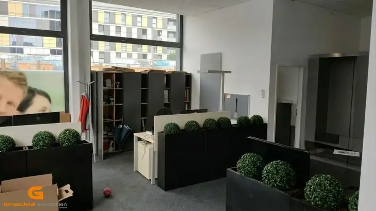 Salzburg Nord - Moderne Showroom / Büroflächen mieten