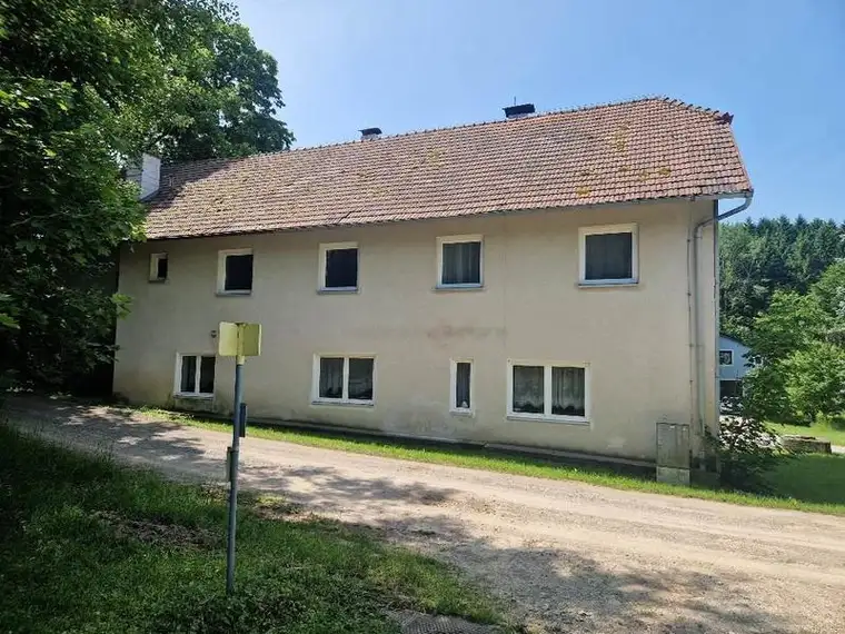 Ein-/Mehrfamilienhaus | ehemaliges Gasthaus mit großem Grundstück