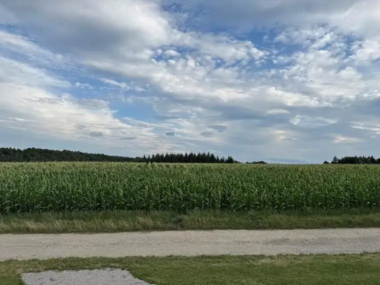Acker- und Waldfläche mit rund 3,8 ha