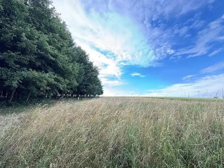 Land- und forstwirtschaftliche Fläche