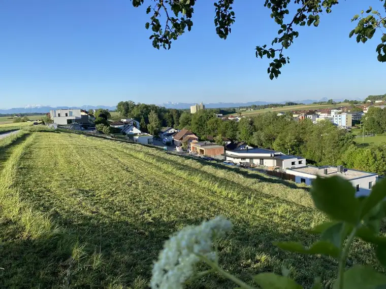 Neuer Preis - jetzt zugreifen ! Grundstück in der schönsten Wohnlage von St. Marien