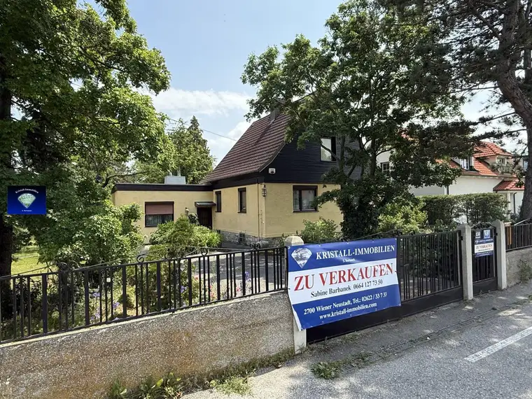 Theresienfeld Grenze Wr Neustadt sehr liebes großes EFH mit wunderschönen großem Grundstück-1253