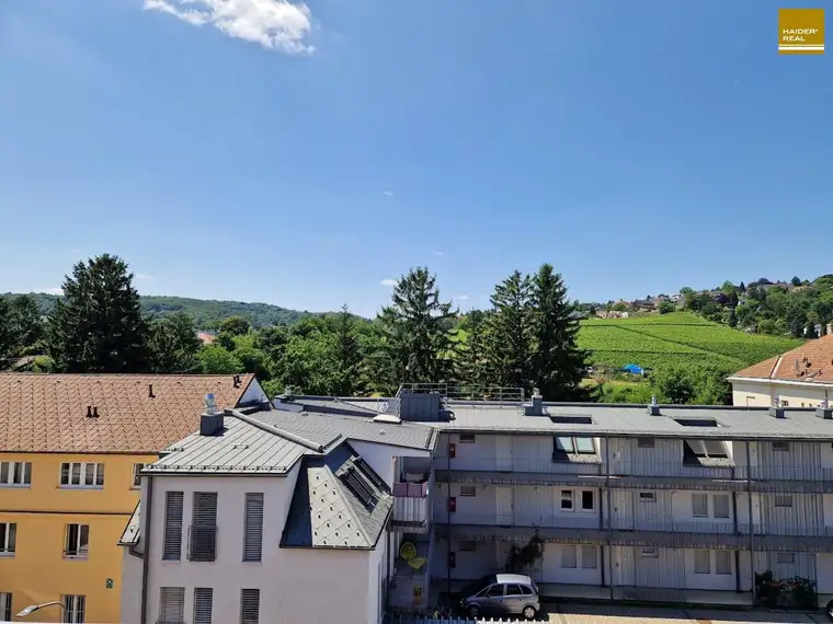 NEUER PREIS - Barrierefreie und sympathische Wohnung mit Außenfläche und Weinbergblick