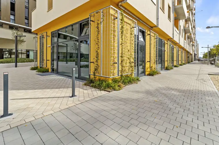 Moderne Geschäftsfläche im Nordbahnviertel I Unbefristet I Erstbezug