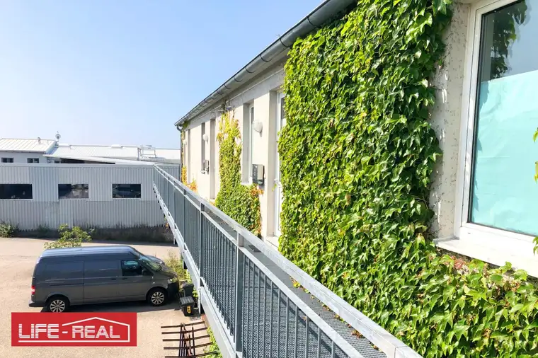 helles, freundliches Büro/Praxis oder Bürogemeinschaft