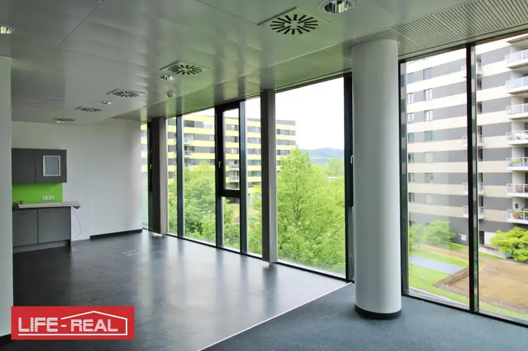 ein Wohlfühlbüro, hell, sonnig, lichtdurchflutet,