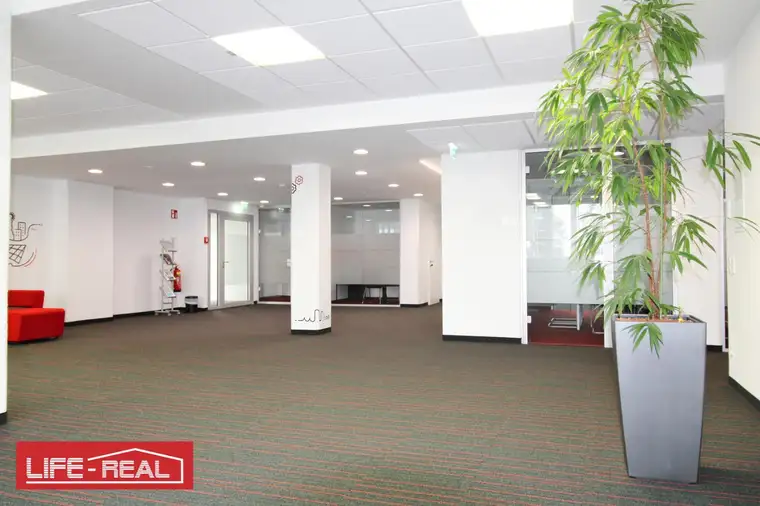modernes, klimatisiertes, lichtdurchflutetes Start-Up Büro