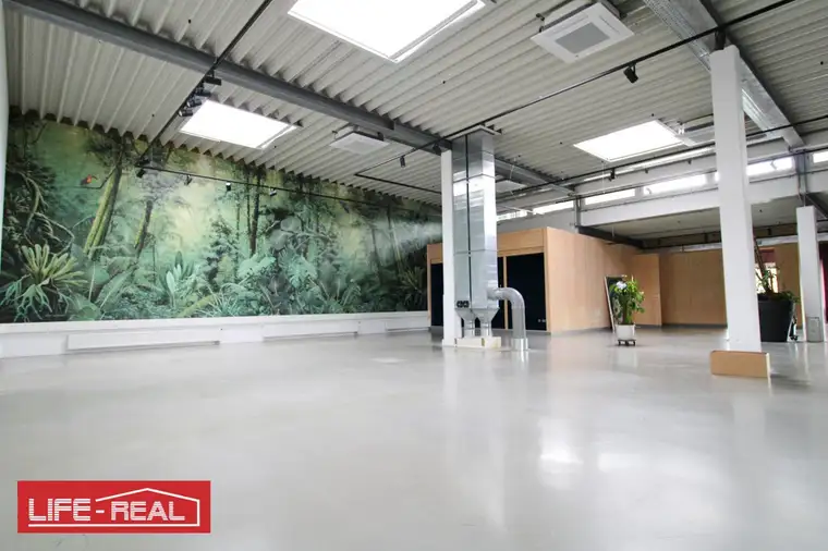 repräsentatives Büro im Hafenviertel für kreative Branchen, Teilflächen möglich