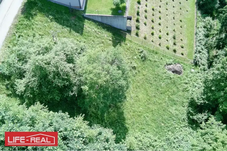 Sonniges Grundstück ohne Bauzwang in Sackgassenlage