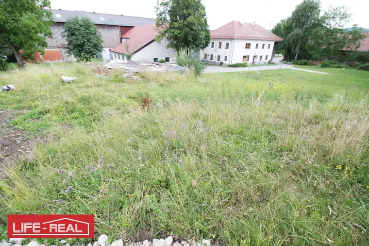Großzügiges Baugrundstück in ruhiger Dorflage – voll erschlossen &amp; ohne Bauzwang