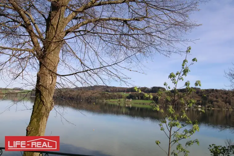 Grundstück mit Seltenheitswert am Mattsee