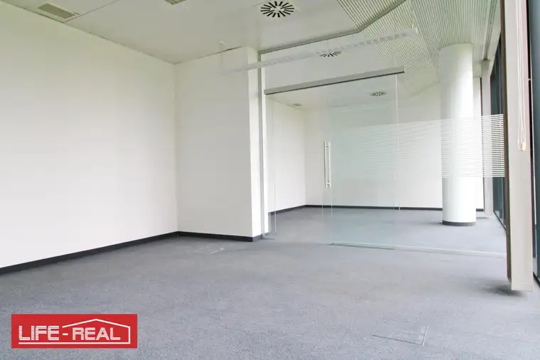 ein Wohlfühlbüro, hell, sonnig, lichtdurchflutet,