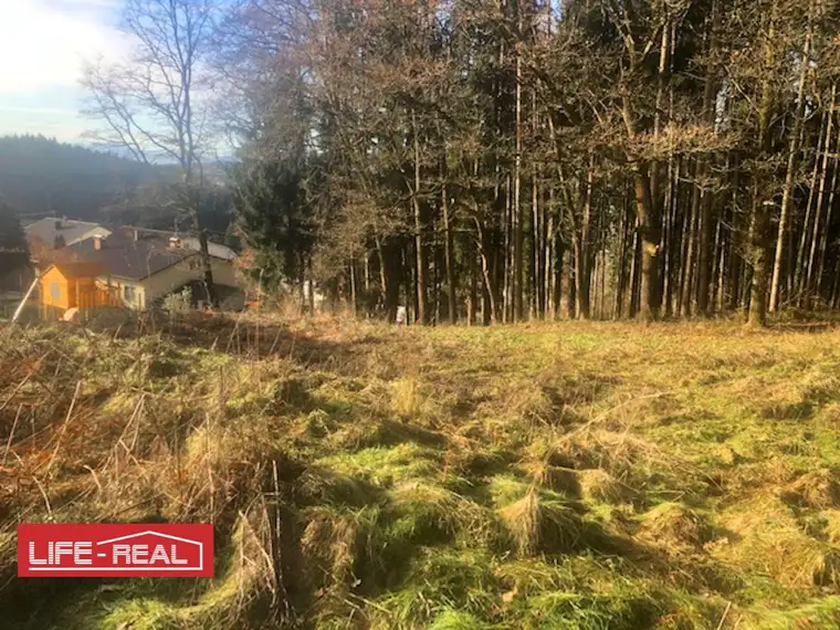 Am Wald grenzendes Baugrundstück