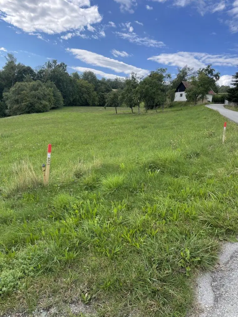 Schönes Grundstück, Bauland und LW. Fläche