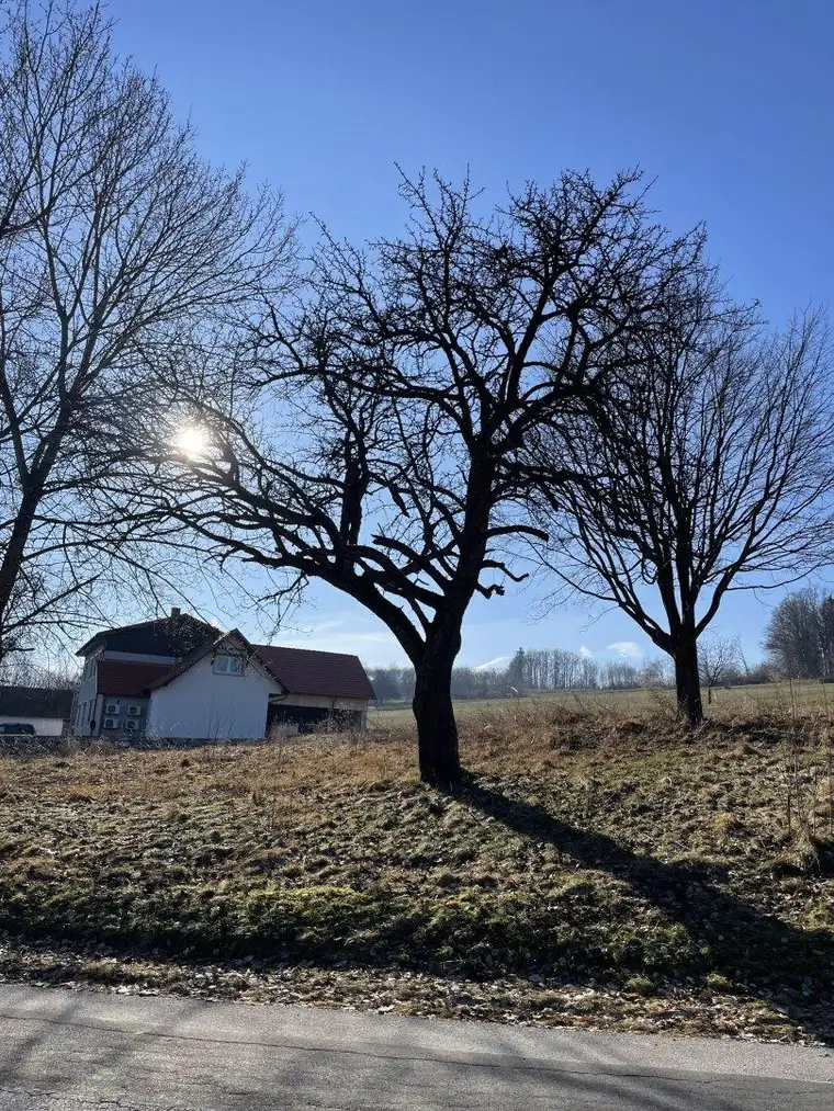 Baugrund mit tollem Ausblick