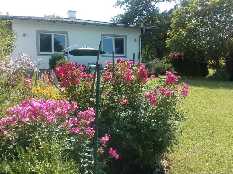 Schöner gepflegter Bungalow in sonniger Lage