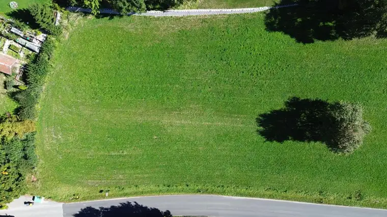 Baugrundstück Steinakirchen - Nähe Golfplatz - kein Bauzwang