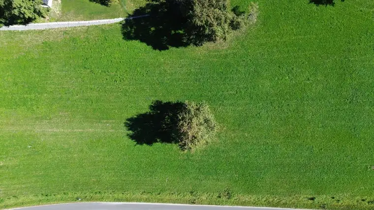 Baugrundstück Steinakirchen - Nähe Golfplatz - kein Bauzwang