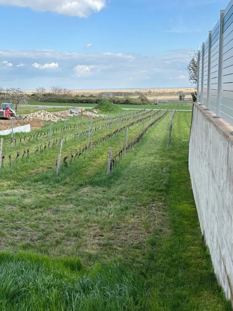 Exklusives Baugrundstück in Purbach: Traumlage mit Blick auf den Neusiedler See