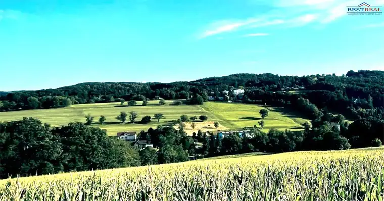60.000 m² Areal mit großem Altbestand und Sonderwidmung