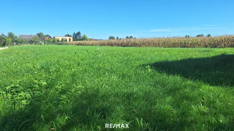 "Sonnige Bauplätze an der Südsteirischen Weinstraße – Wo das Leben schmeckt"