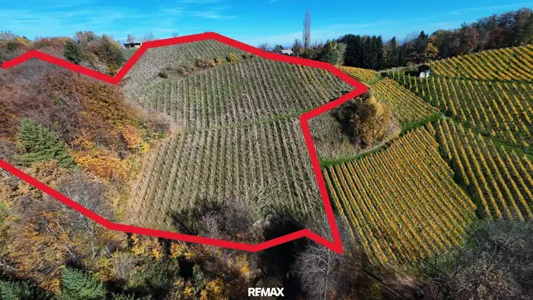 Abverkauf !! Weingarten mit Landwirtschaft in Kranach, Gemeinde Gamlitz zum Schnäppchenpreis( ZONE III )