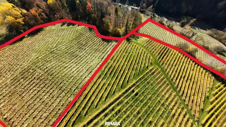 Preisreduktion !!Weingarten in Kranach, Gemeinde Gamlitz zu kaufen ( Zone II )