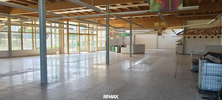 Flächenwunder mit Zukunft: Ehemaliges Lagerhaus bietet Raum für neue Konzepte