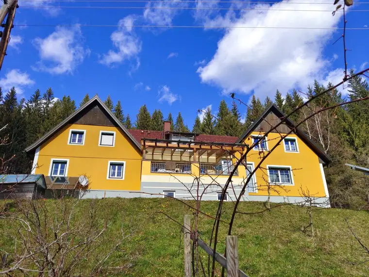Doppeltes Glück - Nähe Stausee - DREILÄNDERECK Steiermark-Kärnten-Slowenien auf 11.300 m² Grund