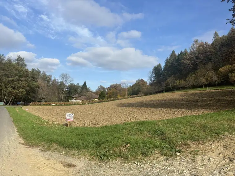 Großzügiges 4.069m² großes, sonniges Baugrundstück