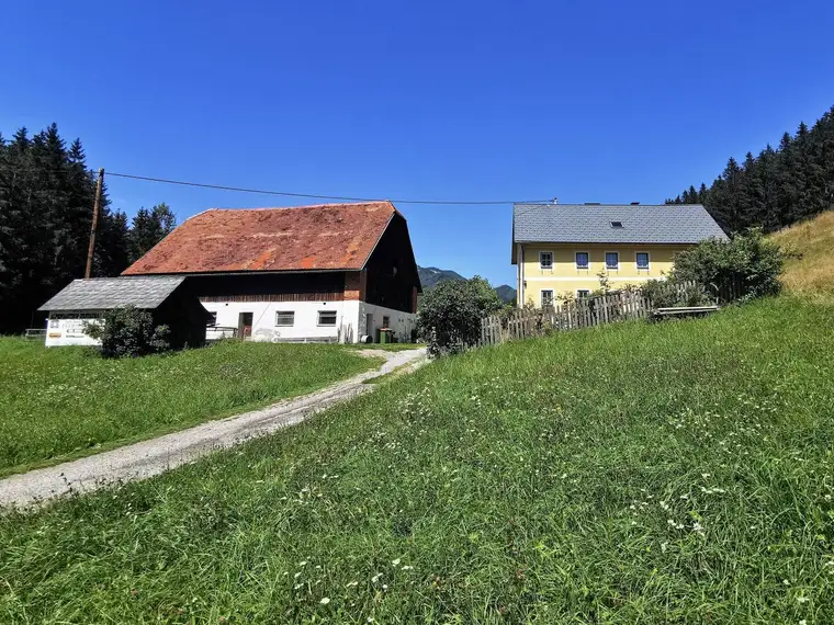 Bauernhaus mit Stallgebäude, umliegenden Wiesenflächen und Wald