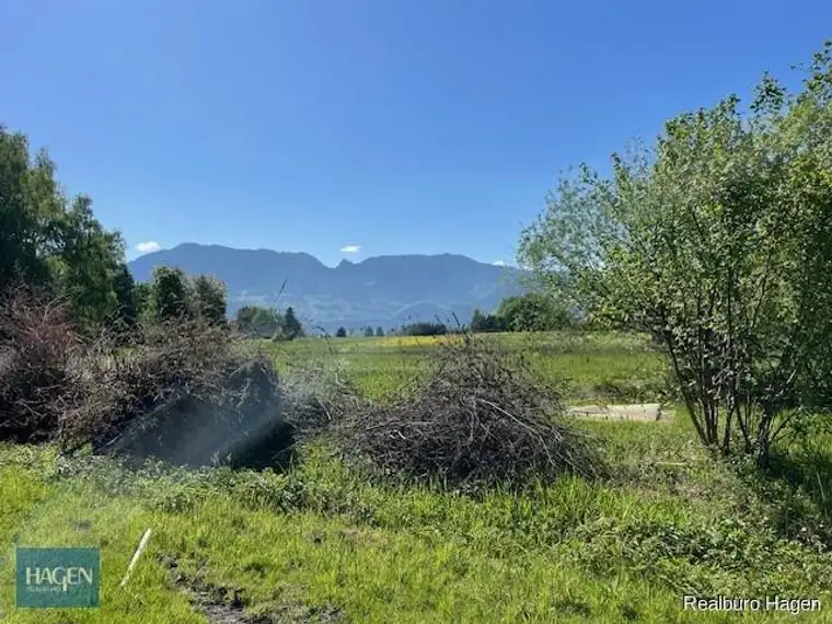 Naturnahes Grundstücke mit atemberaubenden Blick in Lustenau!