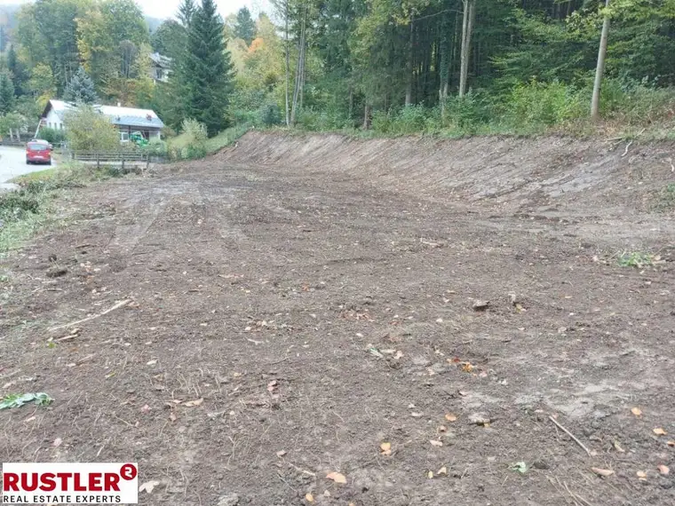 Jetzt die Gelegenheit auf ein 1240m² großes Baugrundstück in Kaumberg ergreifen!!! 