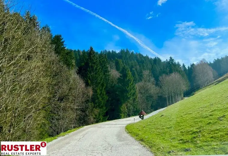 Baugrundstück im Ausmaß von 2.175 m² mit Almcharakter 
Naturparadies Lavanttal