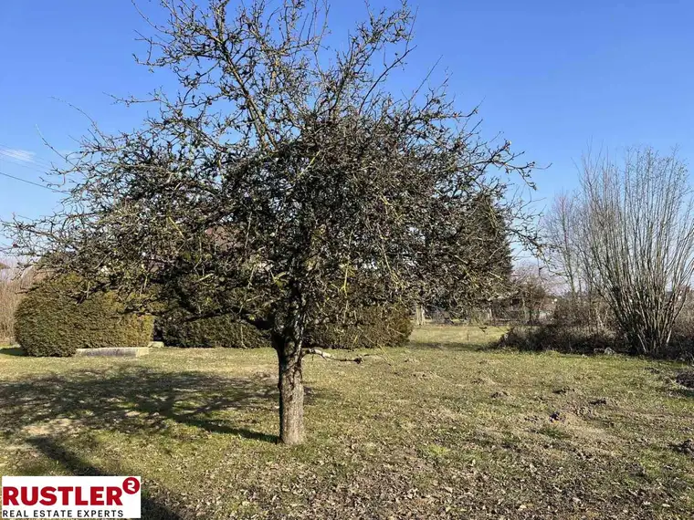 Baugrundstück in Niederfeld zu verkaufen