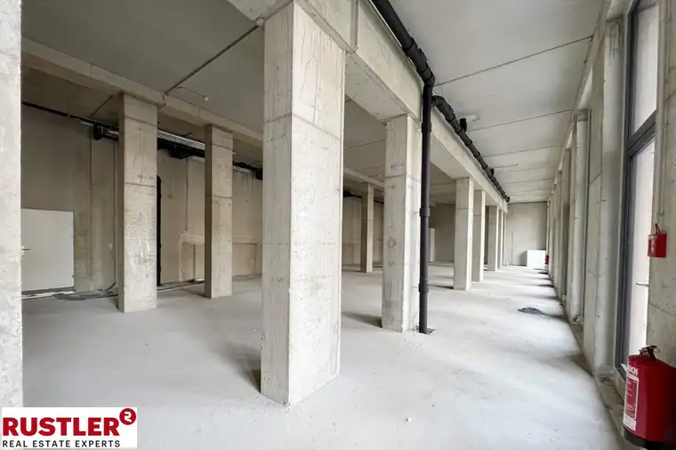 Bürofläche im Edelrohbau zur Vermietung – Reininghaus/Unesco Esplanade