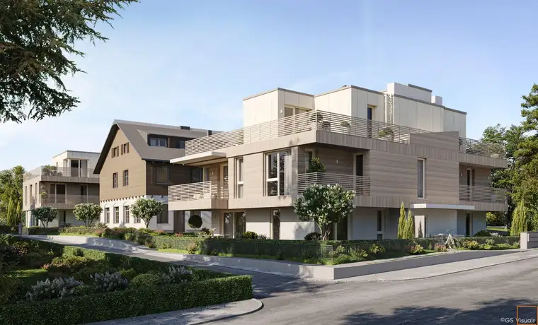 Viola Dollinger, Elisabeth Rohr Real Estate e.U.